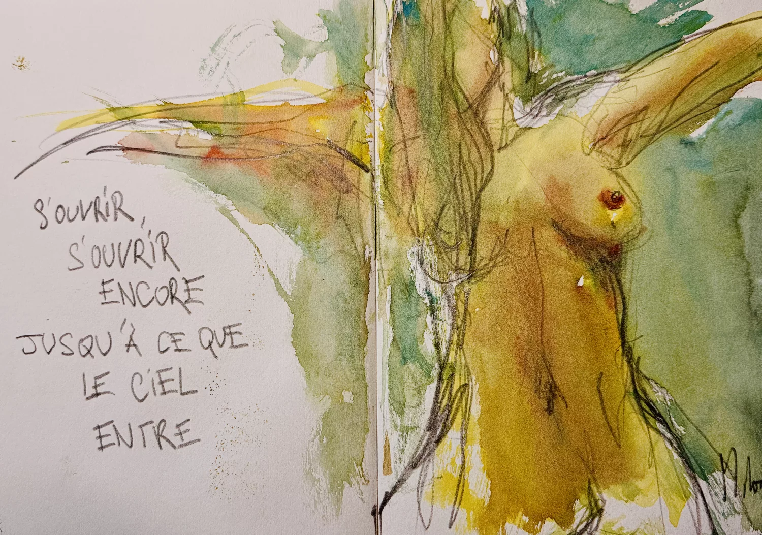 Dessin de live, Dess(e)ins