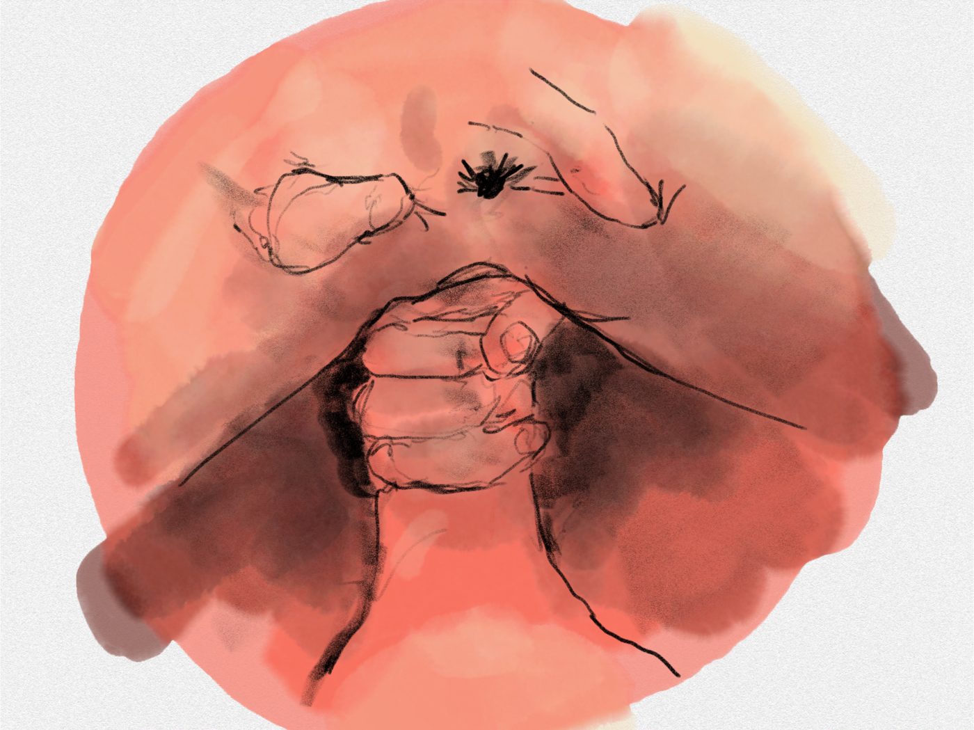 Dessin de live récent